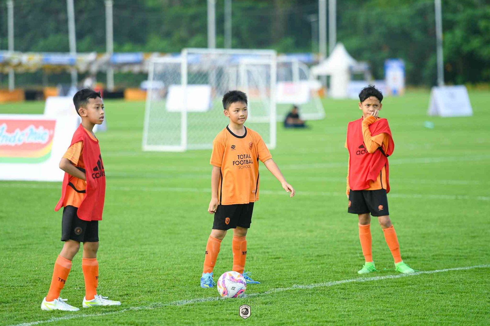 Part of the TFS Development Pathway